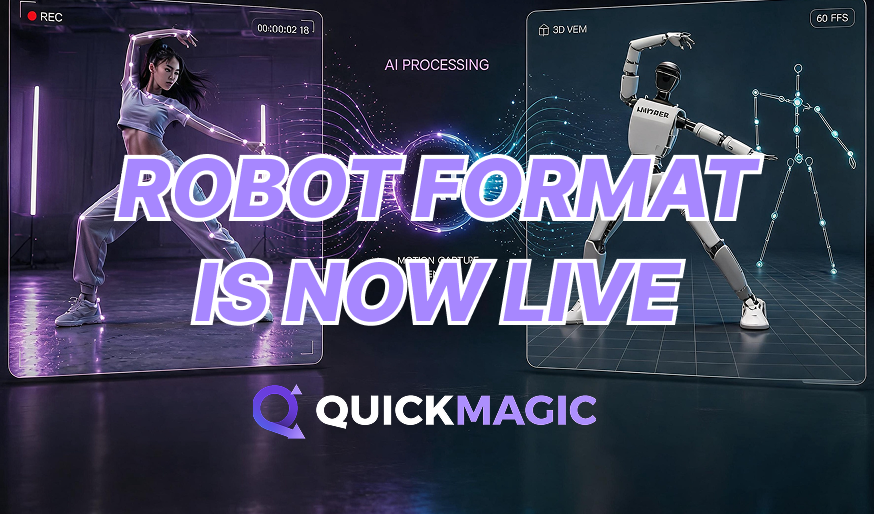 Robot Format Usage Instructions